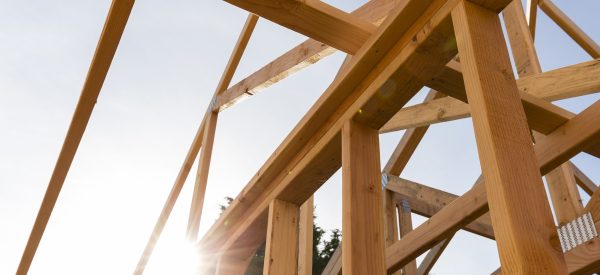What do timber structural engineers do?